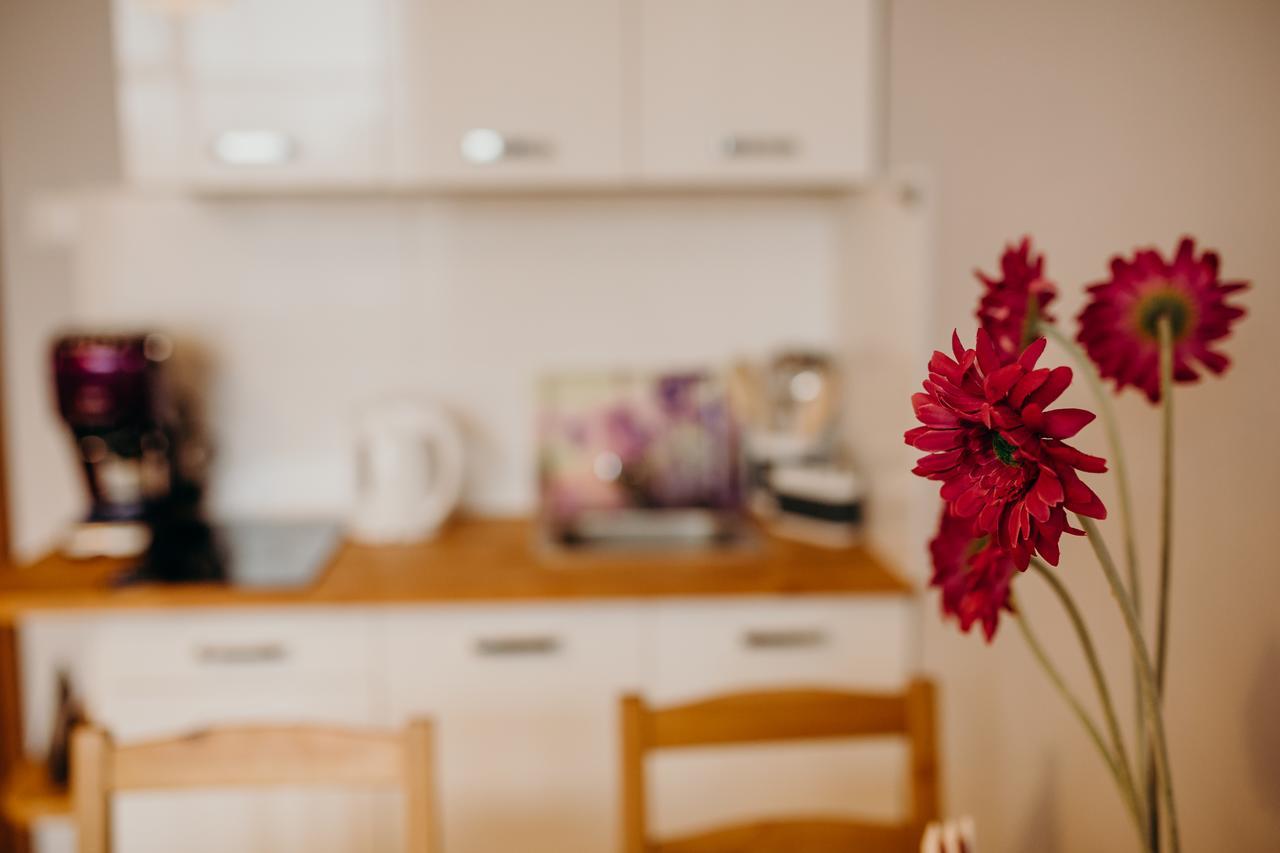 Grey Apartments II วรอตซวาฟ ภายนอก รูปภาพ